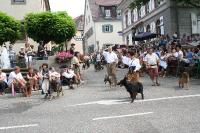 IMG_6348 (2) 
